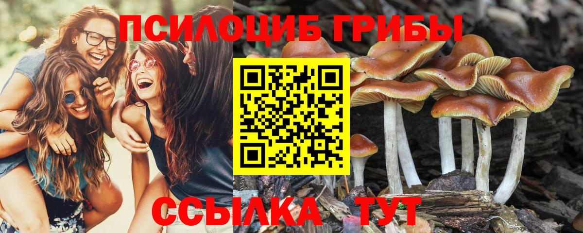 Воронеж  Псилоцибиновые грибы MAGIC MUSHROOMS  Галлюциногенные грибы мицелий  Вход с VPN 